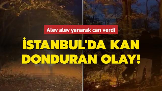 İstanbul da kan donduran olay Alev alev yanarak can verdi