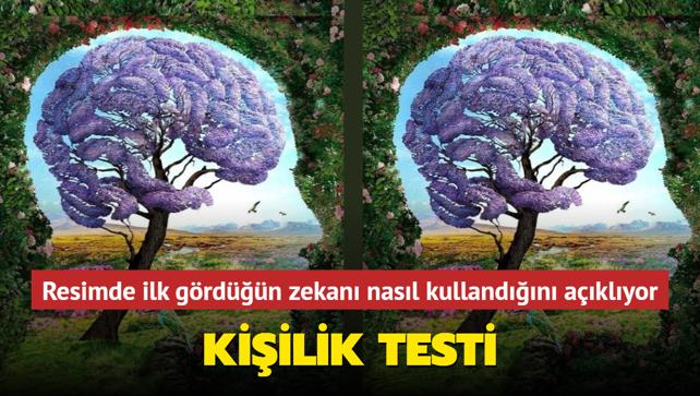 Kişilik testi Resimde ilk beyin görenler mi ağaç görenler mi zeki