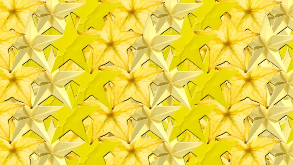 Zeka testi: Yıldızların içindeki kedi nerede? 610 kişi denedi, 28'i buldu