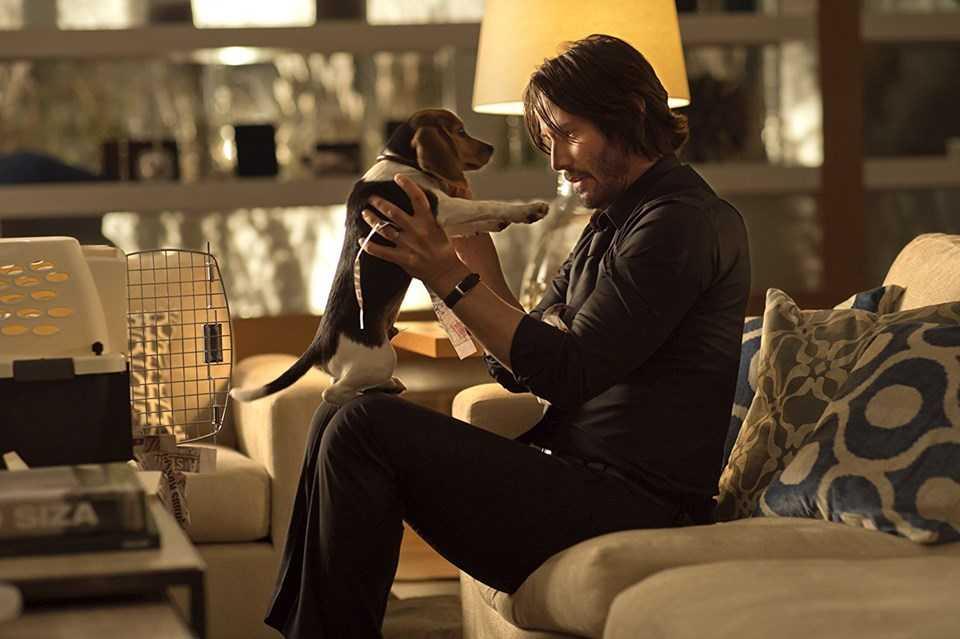John Wick 3�teki köpekli sahnelerin sırrı ortaya çıktı