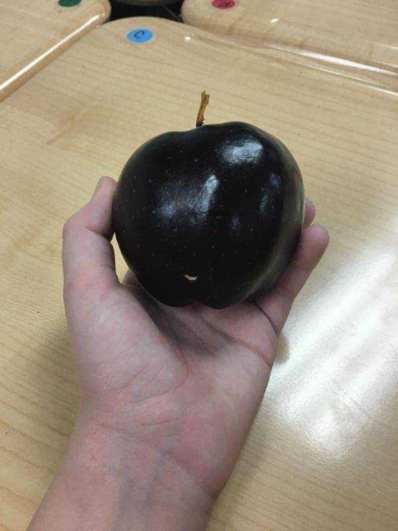 Есть черные яблоки. Черное яблоко. Чёрные яблоки сорт.