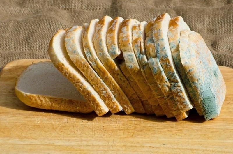 Küflü ekmek yenilirse ne olur? Sağlığa herhangi bir zararı var mıdır? - Sağlık Fotoları | AKŞAM