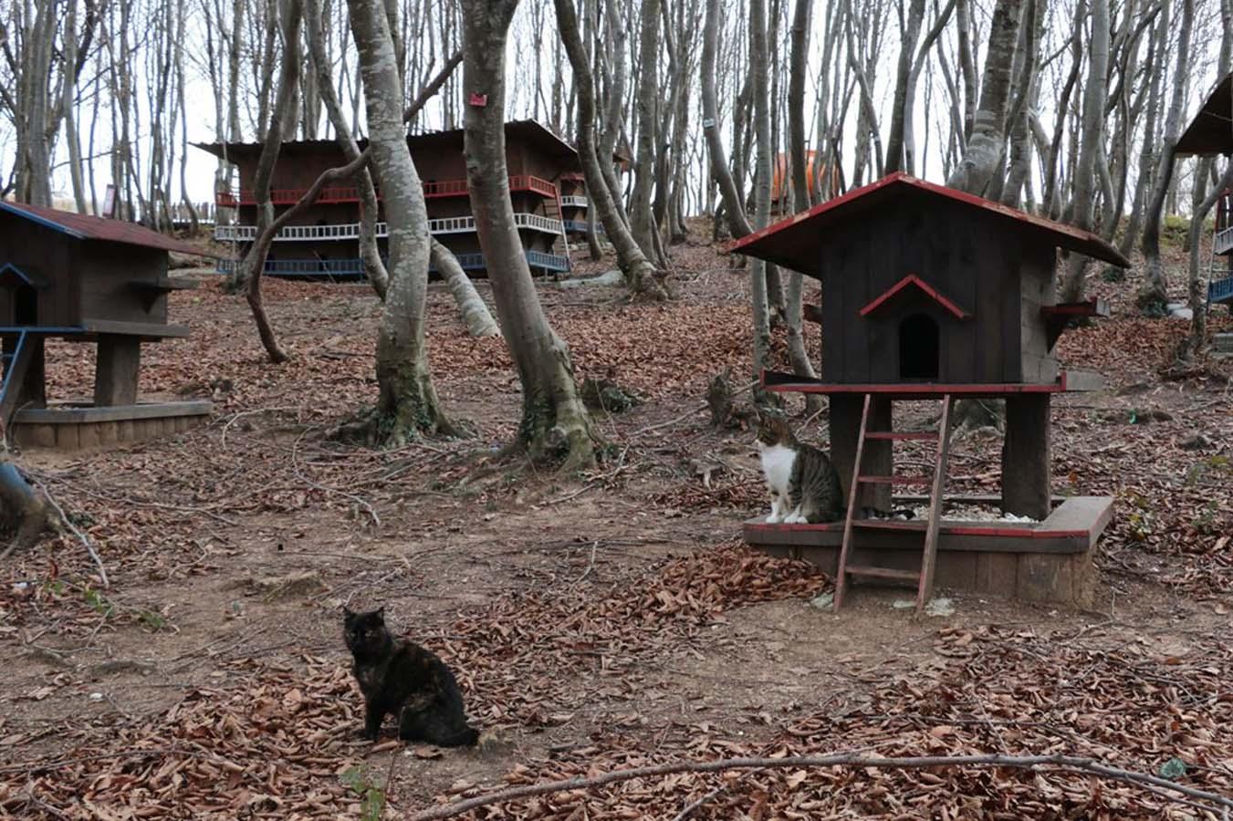 Son dakika deprem haberi... İzmir Seferihisar açıklarında ...