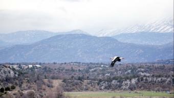 Leylekler Vadisi belediyenin kurdu�u sistemle 7/24 internetten izleyebiliyor