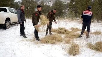 Kars'ta yaban hayvanlar iin doaya yem brakld