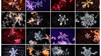 Kar tanelerinin b�y�leyici yolculu�u! Makro lens ile g�r�nt�lendi