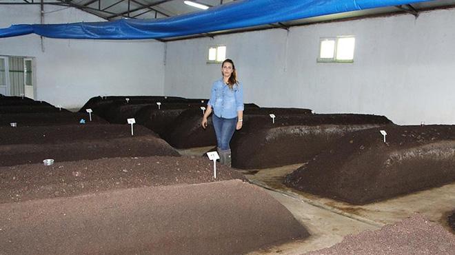 Bir metrekarelik kutudan 6 bin metrekarelik tesise
