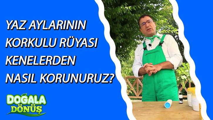 Yaz Aylarının Korkulu Rüyası 'Kene'