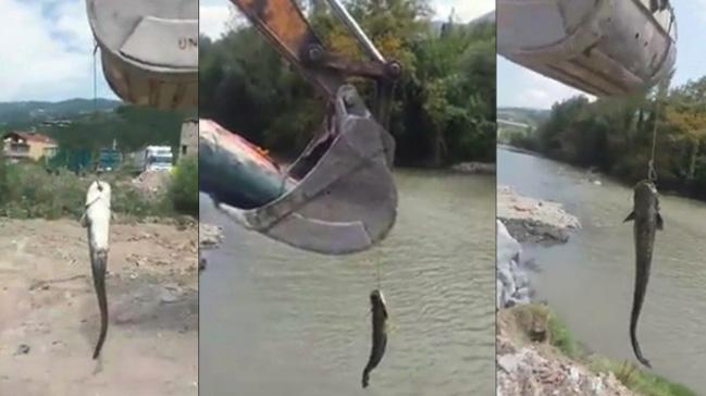 Tuttuğu Balığı Kepçe İle Sudan Çıkarttı