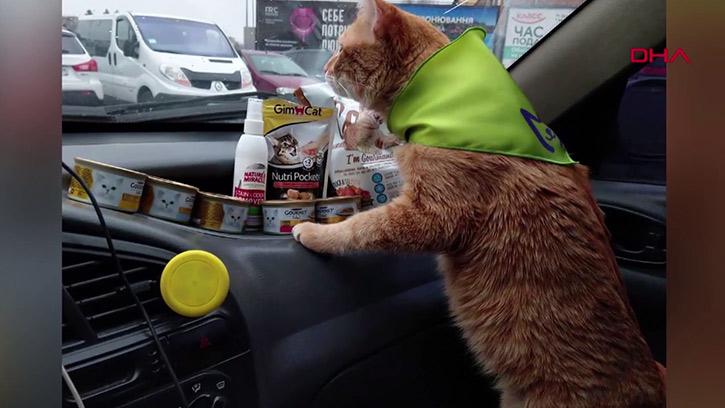 İşte Ukrayna'nın En Popüler Taksisi