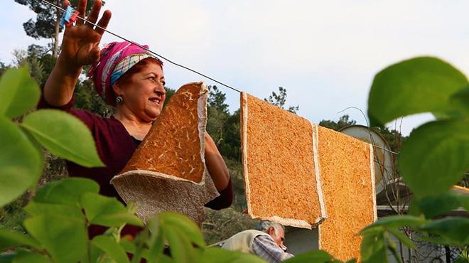 'Pestilci teyzenin' 30 çeşit ürünü görenleri şaşırtıyor
