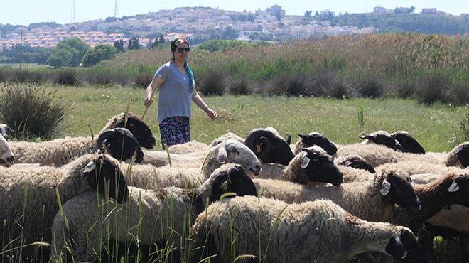 Sertifikalı modern kadın çoban