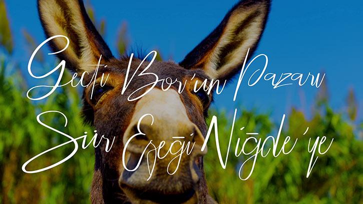 'Geçti Bor'un Pazarı' Deyiminin Hikâyesi | #GalatıMeşhur