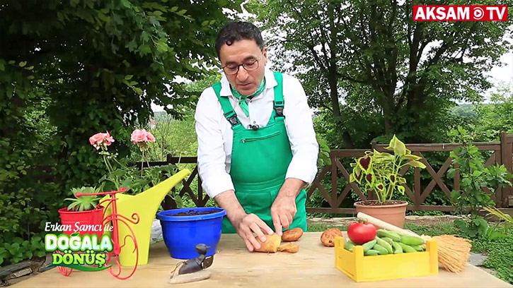 Saksıda patates nasıl yetiştirilir?