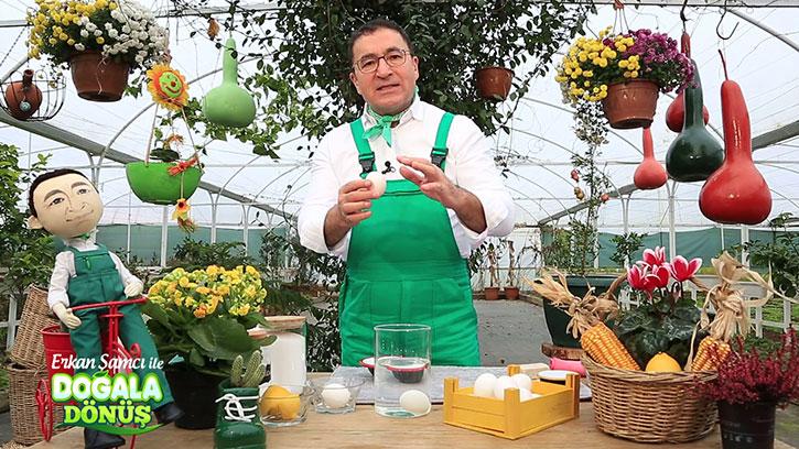 Hayatınızı Kolaylaştıracak Pratik Bilgiler | #DoğalaDönüş