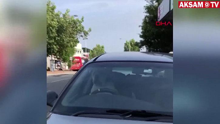 Arabada Sıkılınca Kornaya Basıp Sahibini Çağırdı