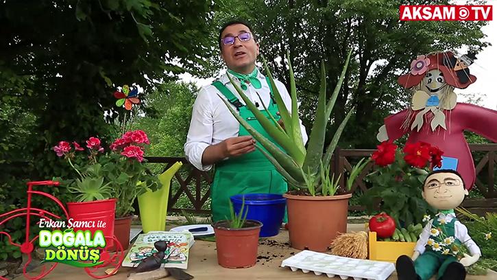 Aloe Vera Bitkisinin Faydaları Nelerdir? | #DoğalaDönüş