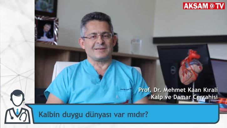 Kalbin Duygu Dünyası Var Mıdır? 
