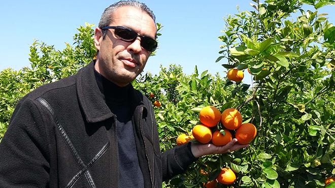 Gıda Tarım ve Hayvancılık Bakanlığı'ndan tüketiciye göre mandalina