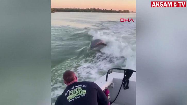 Yunuslar İtfaiyecilere Böyle Eşlik Etti