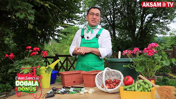 Evdeki Saksınızda Hangi Sebzeleri Yetiştirebilirsiniz?