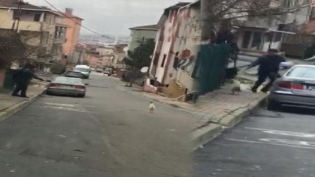 Horoza Taş Atan Postacı Neye Uğradığını Şaşırdı