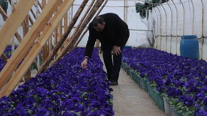 Bursa'dan ihraç ediliyor! Kilosu 25 bin lira...