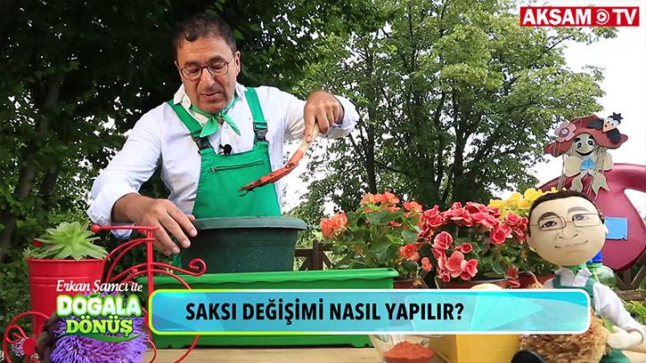 Saksı değişimi nasıl yapılır?