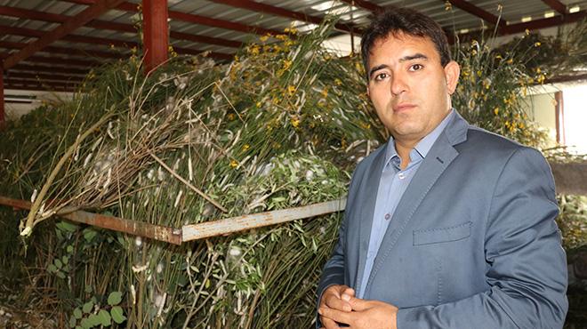 90 metrekarede beslediği ipek böceklerinden 40 günde 15 bin TL kazanıyor
