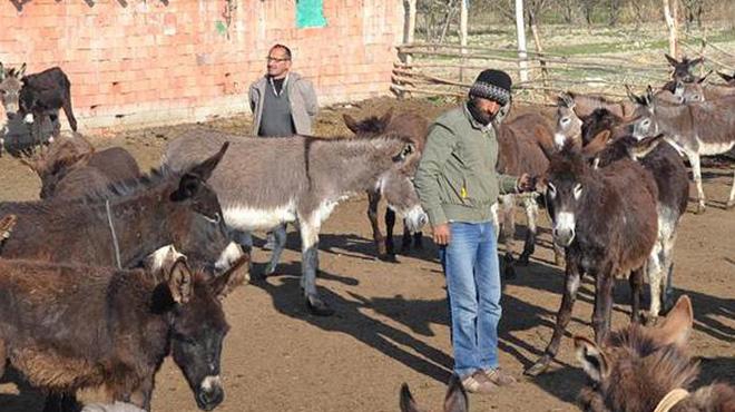 Gazetede okuduğu haberle hayatı değişti