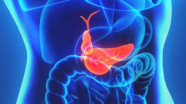 Safra Kesesi Kanseri Belirtileri Nelerdir?