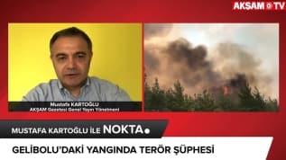 Terör örgütü PKK'nın yaktığı ormanlar...