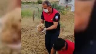 İtfaiye ekipleri yavru köpeğin imdadına yetişti
