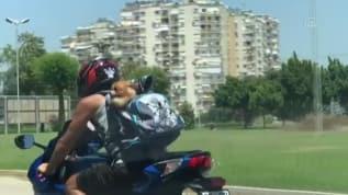 Güneş gözlüklü köpek sosyal medyada ilgi odağı oldu