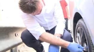 Belediye başkanının dikkati yavru kediyi hayatta tuttu