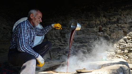 Bitlisli üreticilerden doğal pekmez tarifi