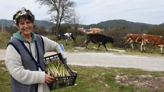 15 yıllık kariyerini kuşkonmaz için bıraktı