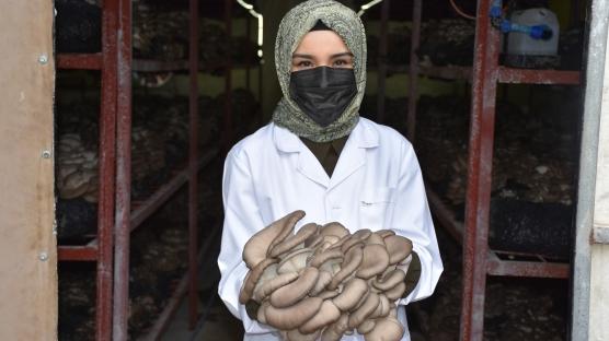 Hobi olarak başladı, mühendisliği bıraktı