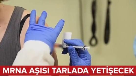 mRNA aşısı tarlada yetişecek