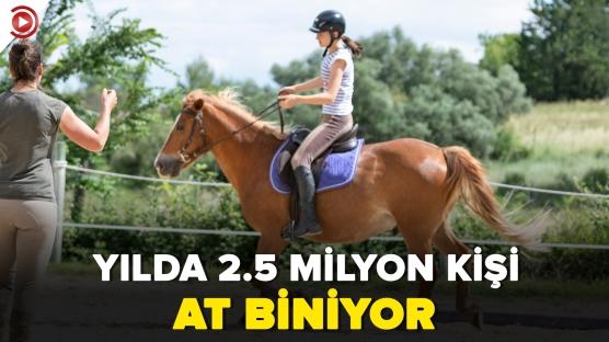 Sultangazi Belediyesi At Binicilik Tesisi yılda 2,5 milyon ziyaretçiyi ağırlıyor