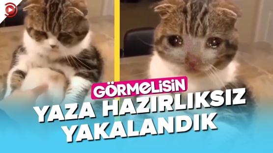Fazla Kilolalar Kimlerin Canını Sıkıyor? 'Görmelisin'