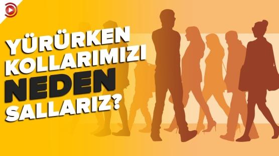 Vücudumuz Neden Böyle?