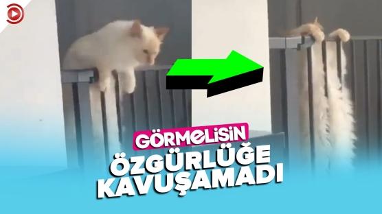 Parmaklıklardan kaçmak o kadar kolay değil