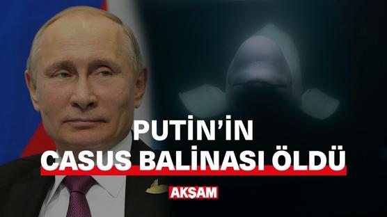 Putin'in casus balinasını kim öldürdü?