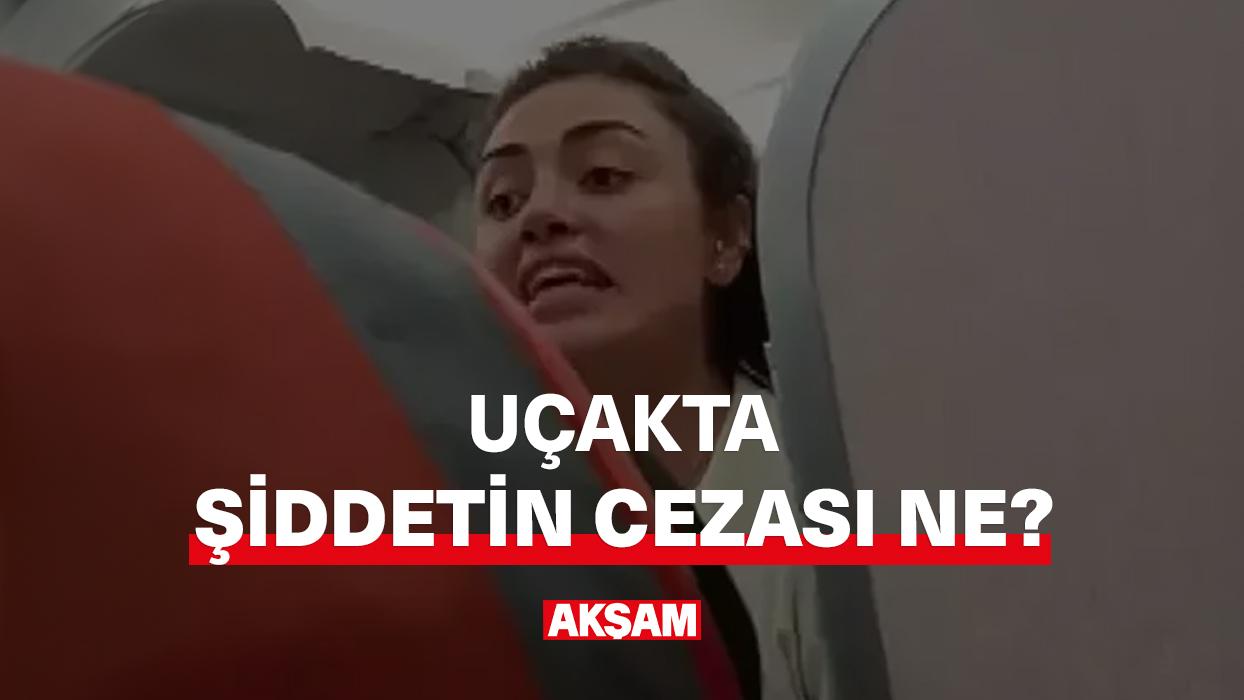 Uçakta şiddetin cezası ne?