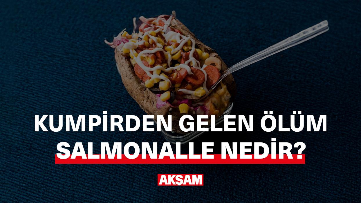 Kumpirden gelen ölüm... Salmonella nedir?