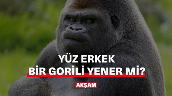 Yüz erkek mi, bir goril mi?