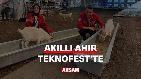 TEKNOFEST'in en ilginç alanlarından biri akıllı ahırdaydık.