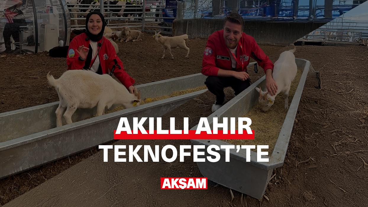 TEKNOFEST'in en ilginç alanlarından biri akıllı ahırdaydık.