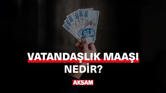 Vatandaşlık maaşı nedir, kimler başvurabilir?